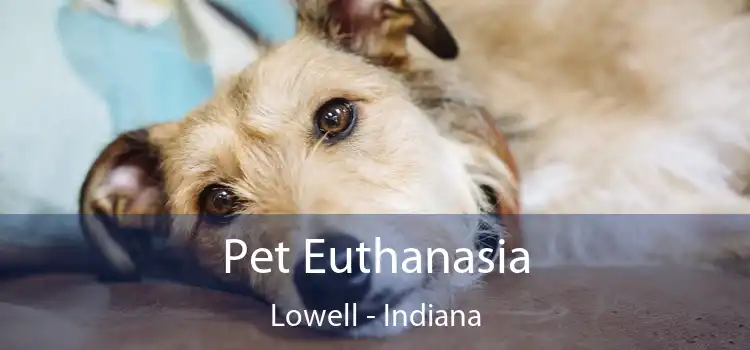 Pet Euthanasia Lowell - Indiana