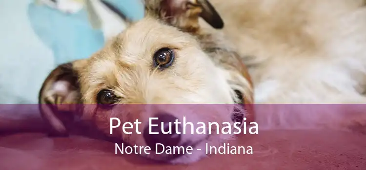 Pet Euthanasia Notre Dame - Indiana