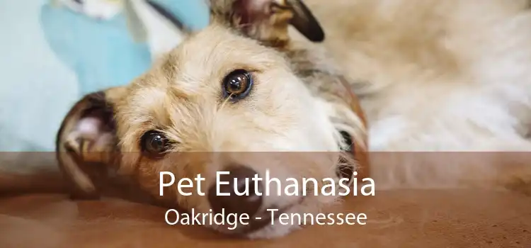 Pet Euthanasia Oakridge - Tennessee