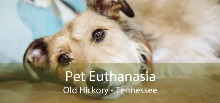 Pet Euthanasia Old Hickory - Tennessee