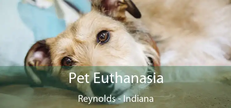 Pet Euthanasia Reynolds - Indiana