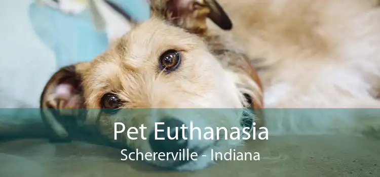 Pet Euthanasia Schererville - Indiana