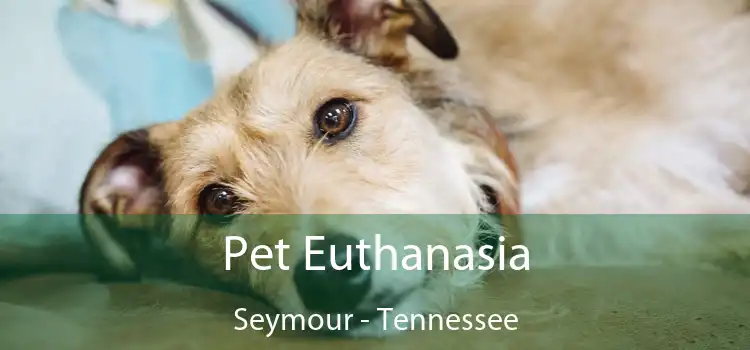 Pet Euthanasia Seymour - Tennessee