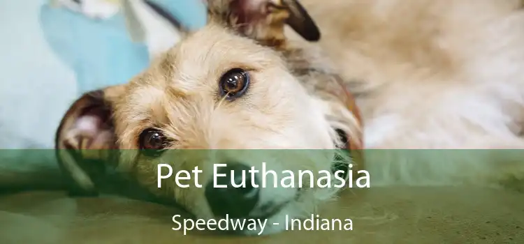 Pet Euthanasia Speedway - Indiana