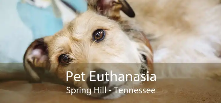 Pet Euthanasia Spring Hill - Tennessee