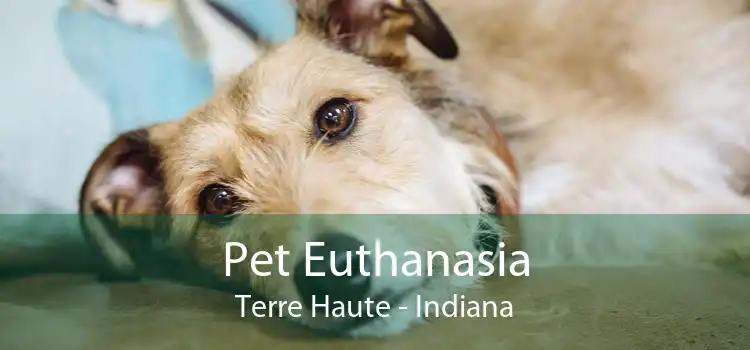 Pet Euthanasia Terre Haute - Indiana