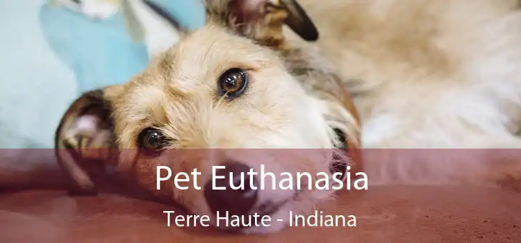 Pet Euthanasia Terre Haute - Indiana