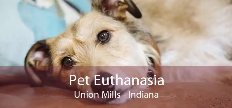 Pet Euthanasia Union Mills - Indiana