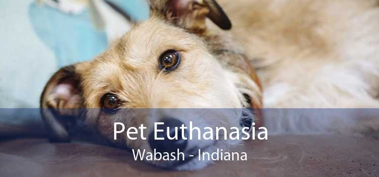 Pet Euthanasia Wabash - Indiana