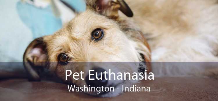 Pet Euthanasia Washington - Indiana