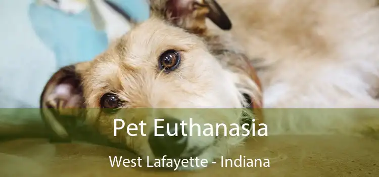 Pet Euthanasia West Lafayette - Indiana