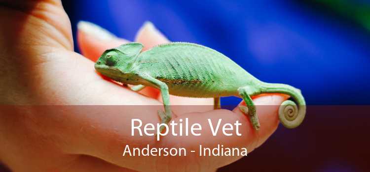 Reptile Vet Anderson - Indiana