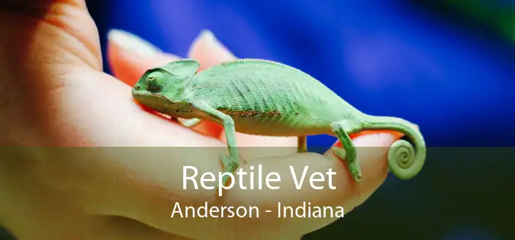 Reptile Vet Anderson - Indiana