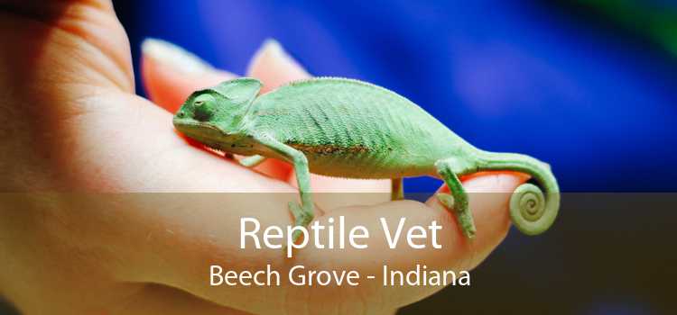 Reptile Vet Beech Grove - Indiana