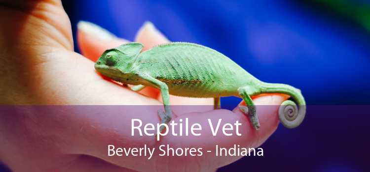 Reptile Vet Beverly Shores - Indiana