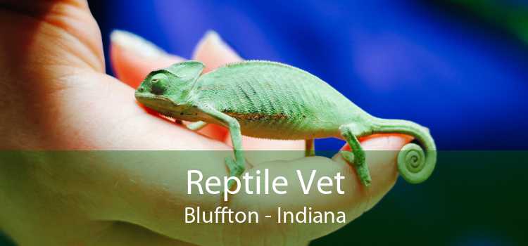 Reptile Vet Bluffton - Indiana