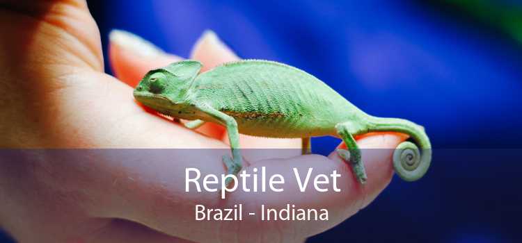 Reptile Vet Brazil - Indiana