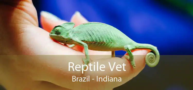 Reptile Vet Brazil - Indiana