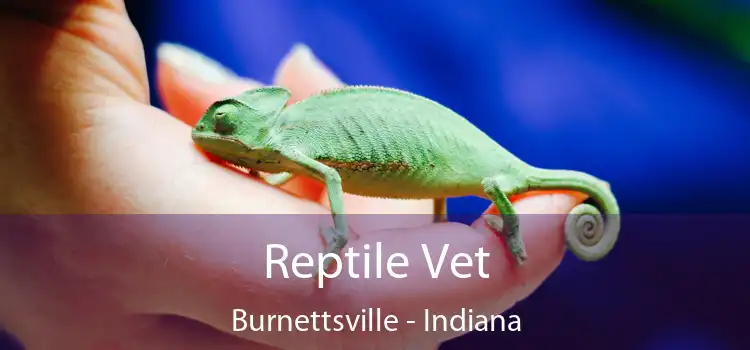 Reptile Vet Burnettsville - Indiana