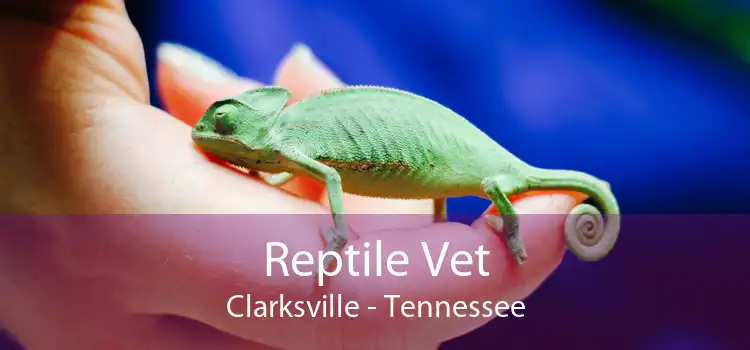 Reptile Vet Clarksville - Tennessee