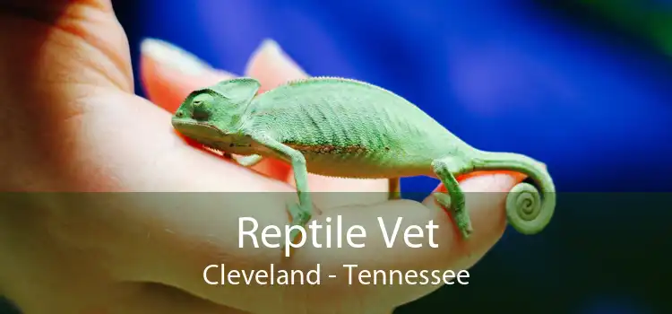 Reptile Vet Cleveland - Tennessee