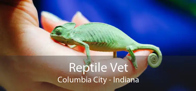 Reptile Vet Columbia City - Indiana