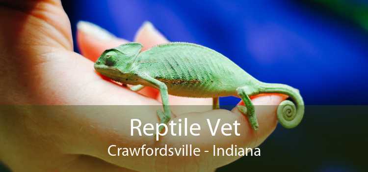 Reptile Vet Crawfordsville - Indiana