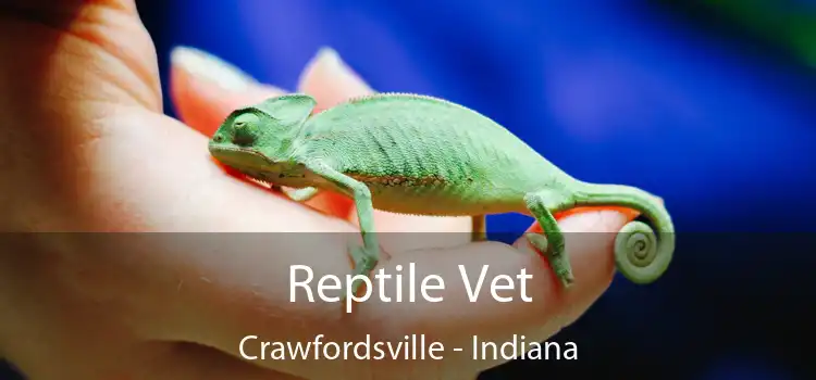 Reptile Vet Crawfordsville - Indiana