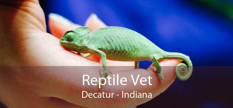 Reptile Vet Decatur - Indiana