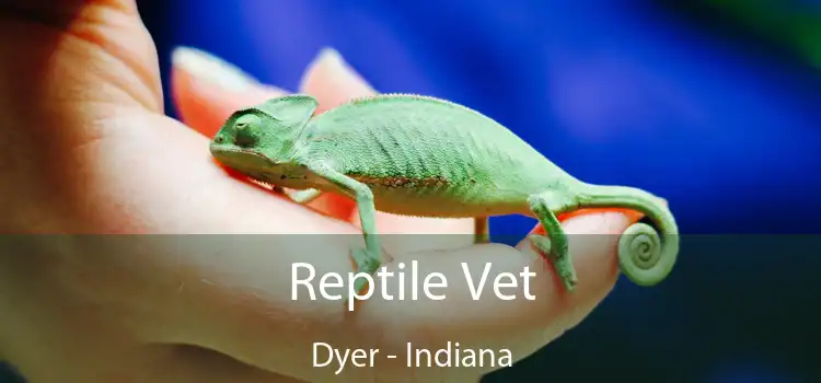 Reptile Vet Dyer - Indiana