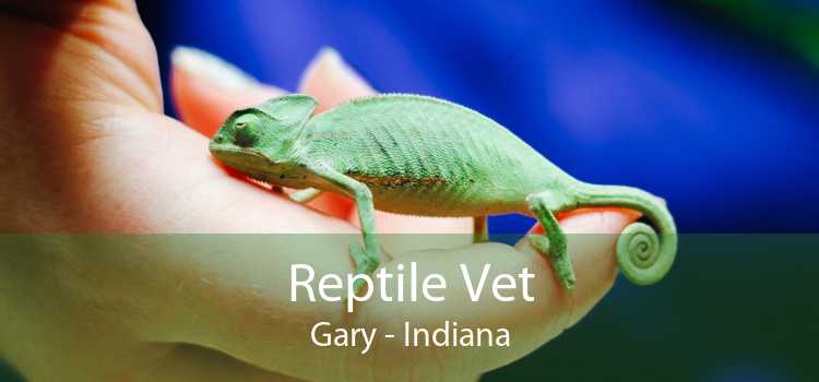 Reptile Vet Gary - Indiana