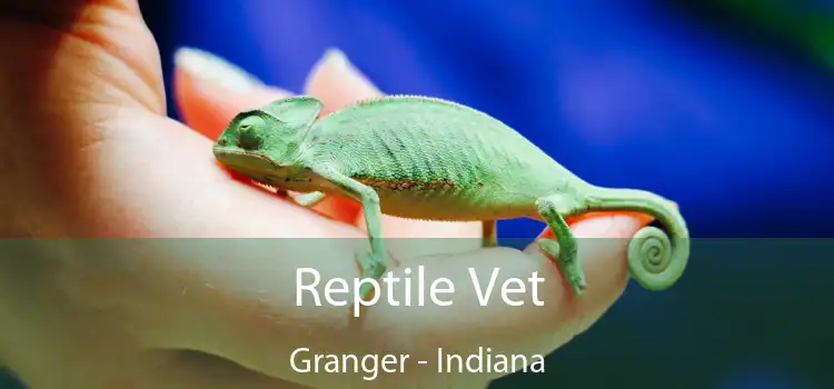 Reptile Vet Granger - Indiana