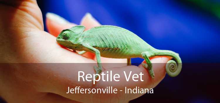 Reptile Vet Jeffersonville - Indiana