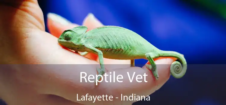 Reptile Vet Lafayette - Indiana