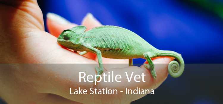 Reptile Vet Lake Station - Indiana