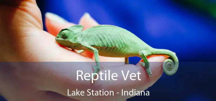 Reptile Vet Lake Station - Indiana