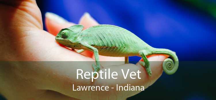 Reptile Vet Lawrence - Indiana