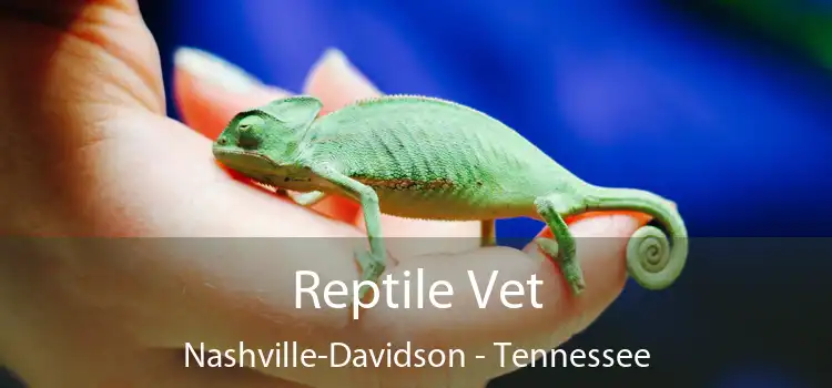 Reptile Vet Nashville-Davidson - Tennessee