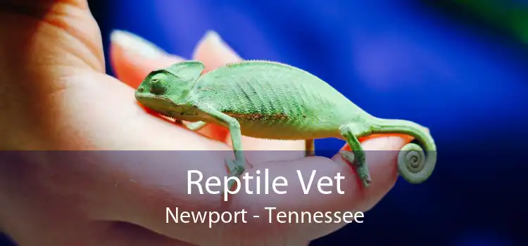 Reptile Vet Newport - Tennessee
