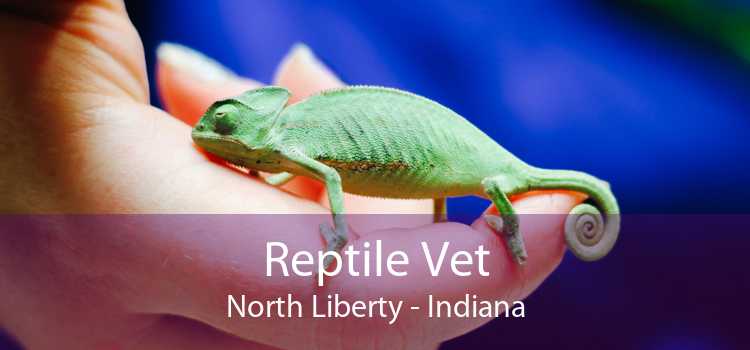 Reptile Vet North Liberty - Indiana