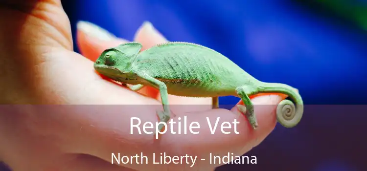 Reptile Vet North Liberty - Indiana