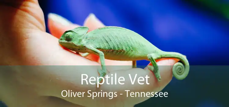 Reptile Vet Oliver Springs - Tennessee