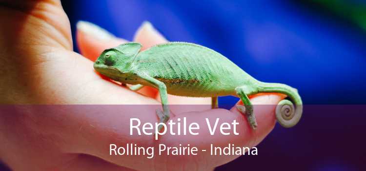 Reptile Vet Rolling Prairie - Indiana