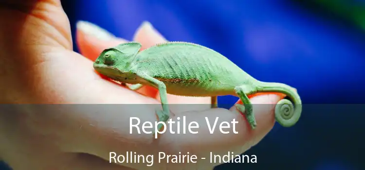 Reptile Vet Rolling Prairie - Indiana