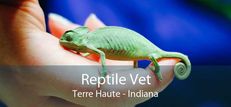 Reptile Vet Terre Haute - Indiana