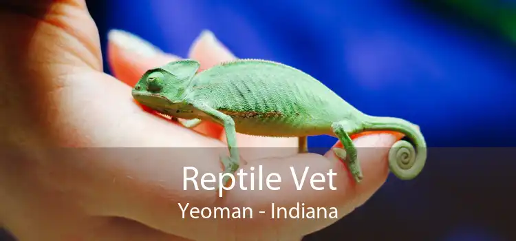 Reptile Vet Yeoman - Indiana