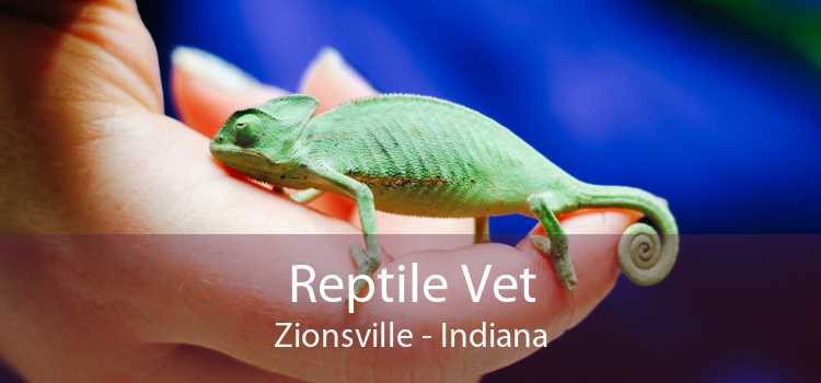 Reptile Vet Zionsville - Indiana