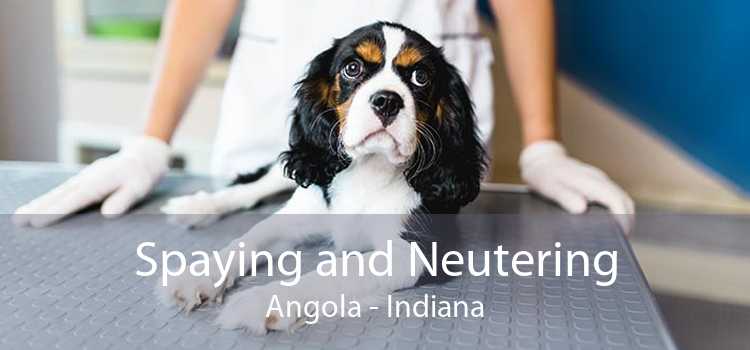 Spaying and Neutering Angola - Indiana