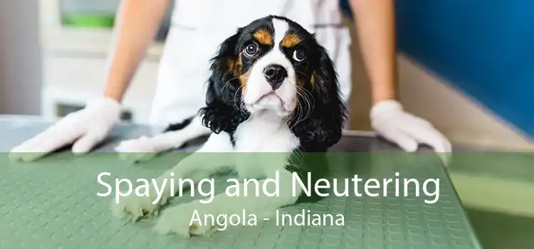 Spaying and Neutering Angola - Indiana
