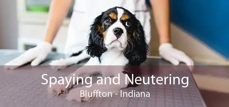 Spaying and Neutering Bluffton - Indiana
